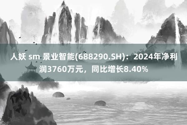 人妖 sm 景业智能(688290.SH)：2024年净利润3760万元，同比增长8.40%