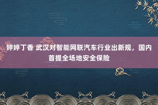 婷婷丁香 武汉对智能网联汽车行业出新规，国内首提全场地安全保险