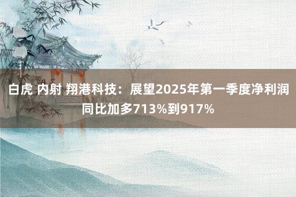 白虎 内射 翔港科技：展望2025年第一季度净利润同比加多713%到917%