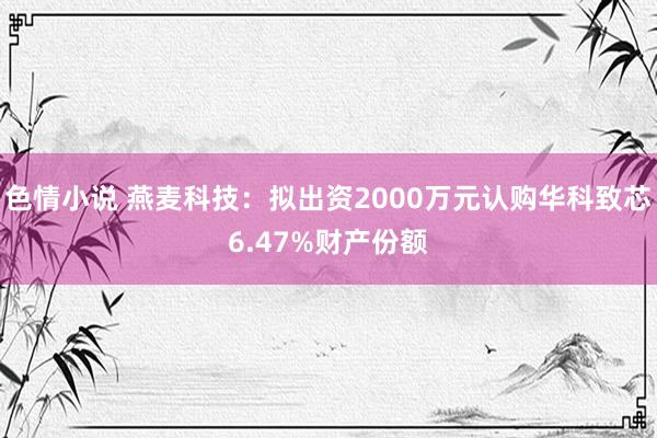 色情小说 燕麦科技：拟出资2000万元认购华科致芯6.47%财产份额