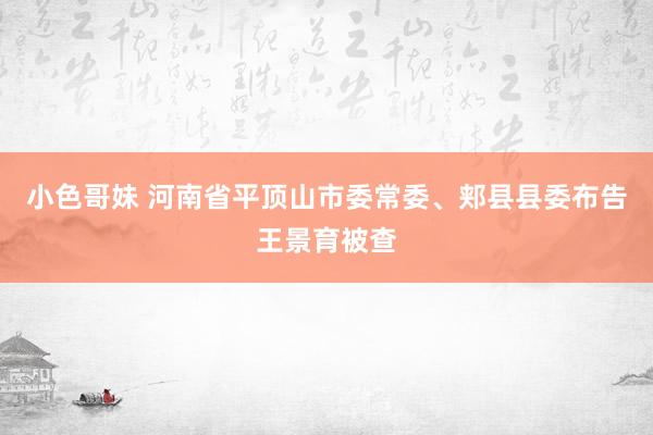 小色哥妹 河南省平顶山市委常委、郏县县委布告王景育被查