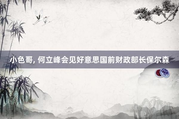 小色哥， 何立峰会见好意思国前财政部长保尔森