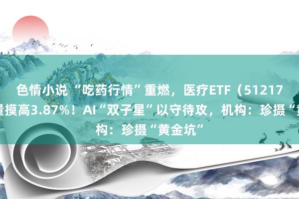 色情小说 “吃药行情”重燃，医疗ETF（512170）放量摸高3.87%！AI“双子星”以守待攻，机构：珍摄“黄金坑”