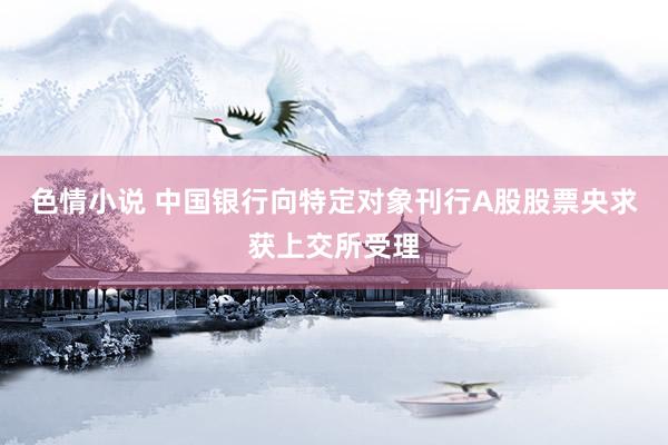 色情小说 中国银行向特定对象刊行A股股票央求获上交所受理