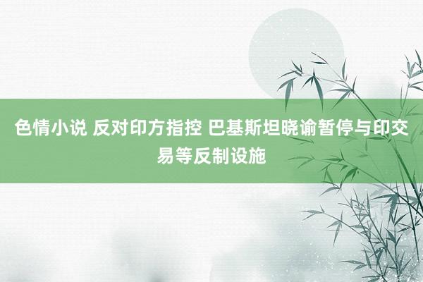 色情小说 反对印方指控 巴基斯坦晓谕暂停与印交易等反制设施