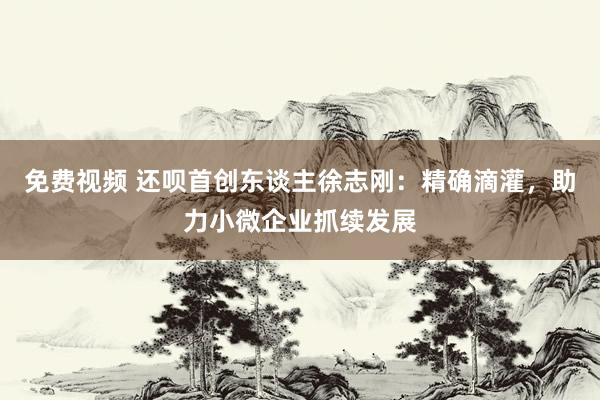 免费视频 还呗首创东谈主徐志刚：精确滴灌，助力小微企业抓续发展