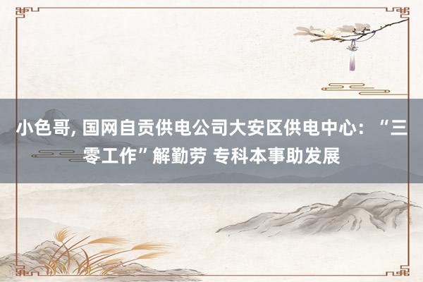 小色哥， 国网自贡供电公司大安区供电中心：“三零工作”解勤劳 专科本事助发展