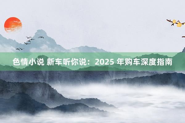 色情小说 新车听你说：2025 年购车深度指南