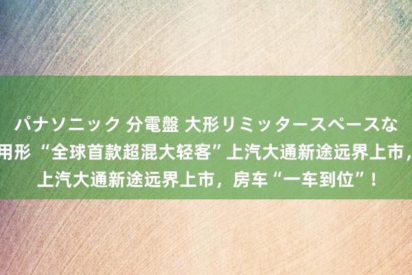 パナソニック 分電盤 大形リミッタースペースなし 露出・半埋込両用形 “全球首款超混大轻客”上汽大通新途远界上市，房车“一车到位”！